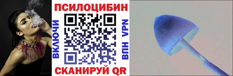 Галлюциногенные грибы Magic Shrooms  Купить где  Вяземский 