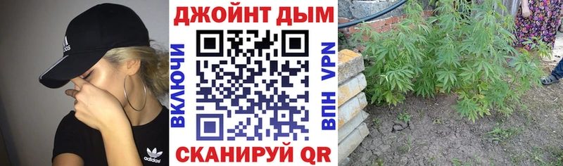 МАРИХУАНА план  Купить где  Вяземский 